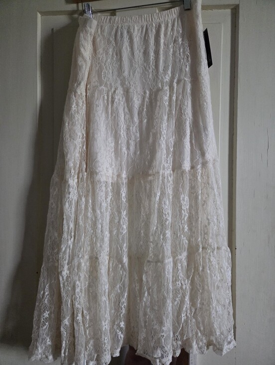 wild fable Dresses & Skirts - Lace Skirt
